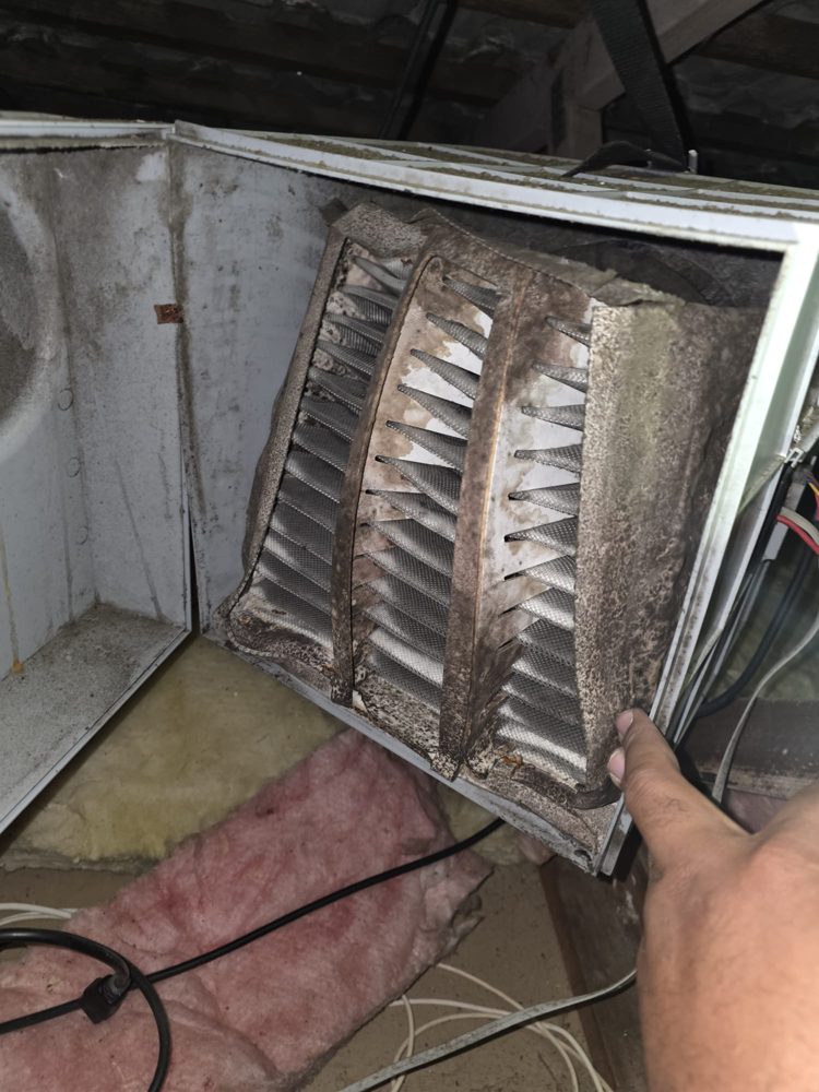 HRV filter from an Ellerslie home, dark with dust and breaking apart after three years