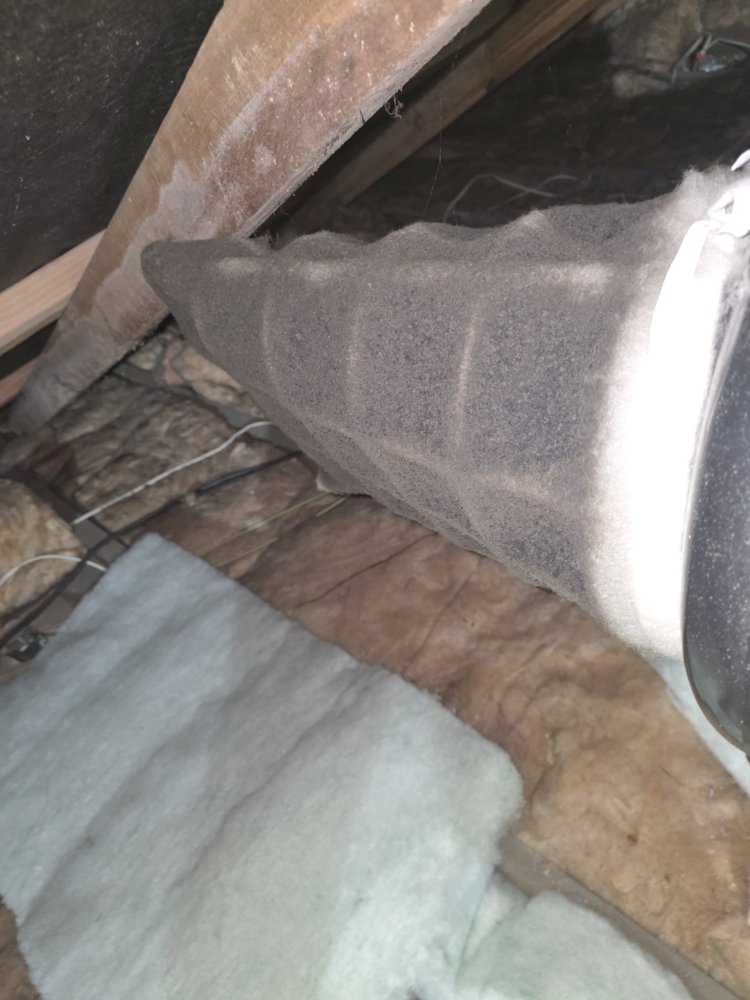 DVS filter from a Mount Eden home, grey with dust after two years