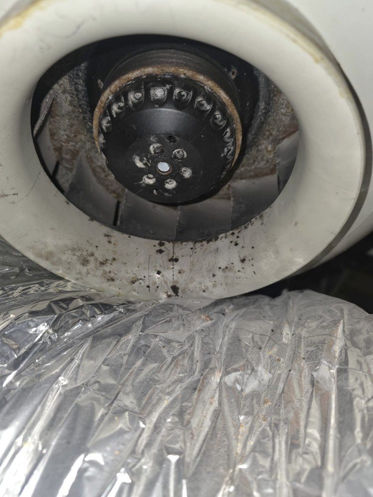 DVS fan impeller and housing with dirt, mould spots and a rusty rim