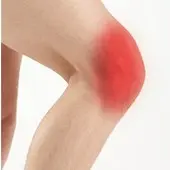 Knee Pain