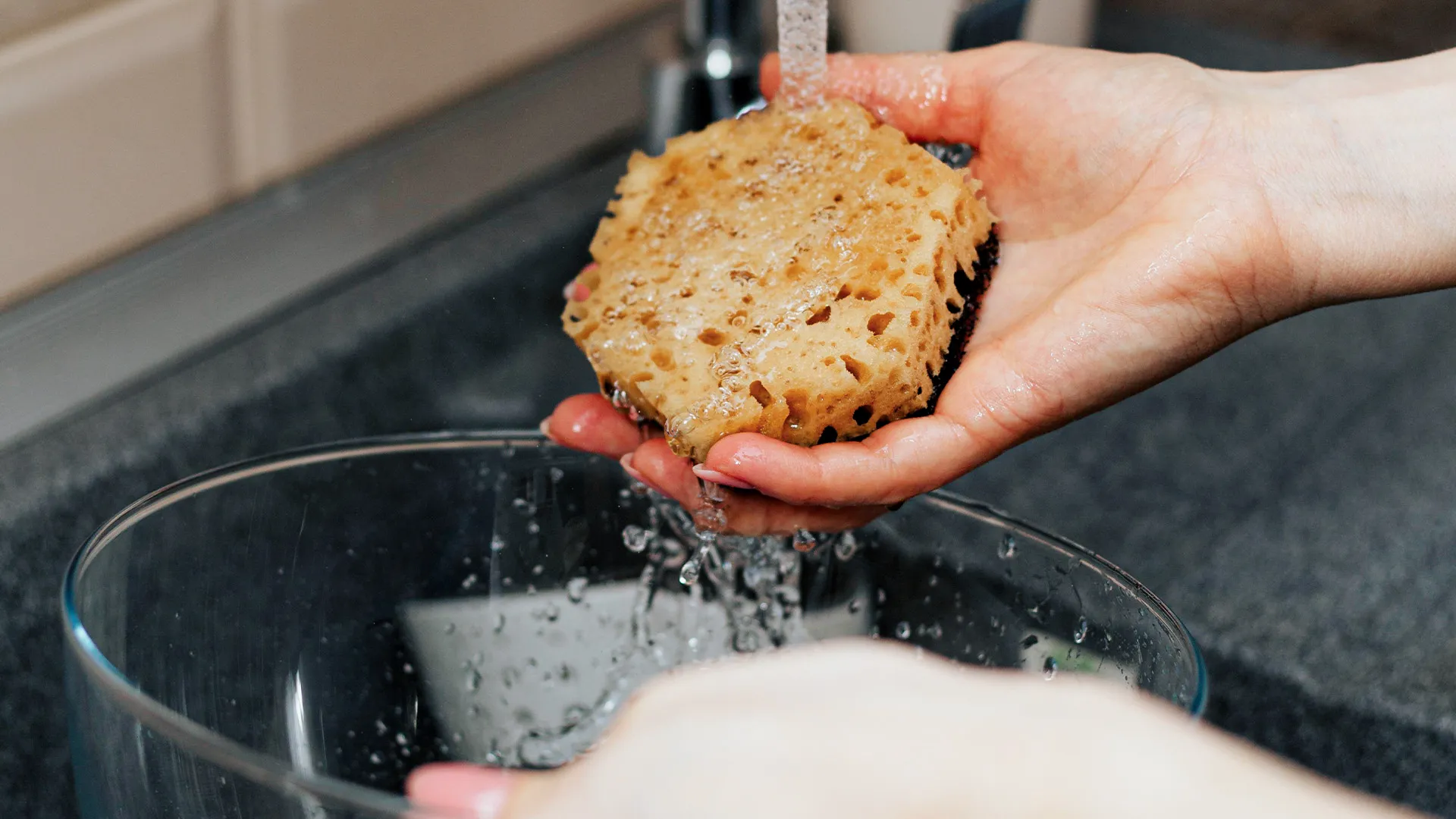 Eine Hand hält einen nassen Schwamm unter fließendem Wasser über einer durchsichtigen Schüssel.
