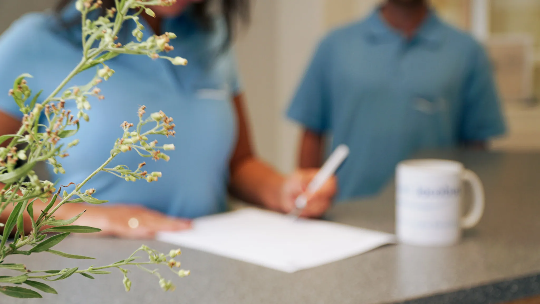 Nahaufnahme einer Pflanze vor zwei Personen in blauen Hemden, eine Person unterschreibt ein Dokument auf einem Tisch.