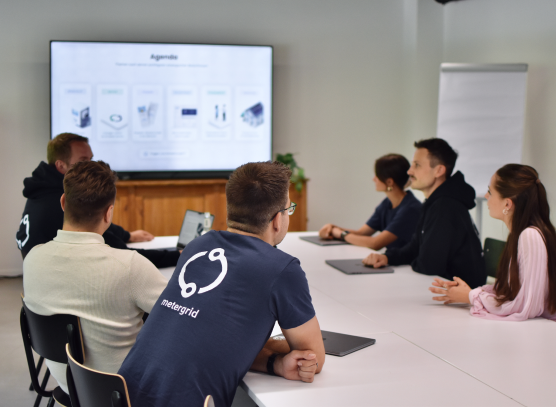 metergrid Mitarbeiter Workshop für Mieterstromumsetzungen
