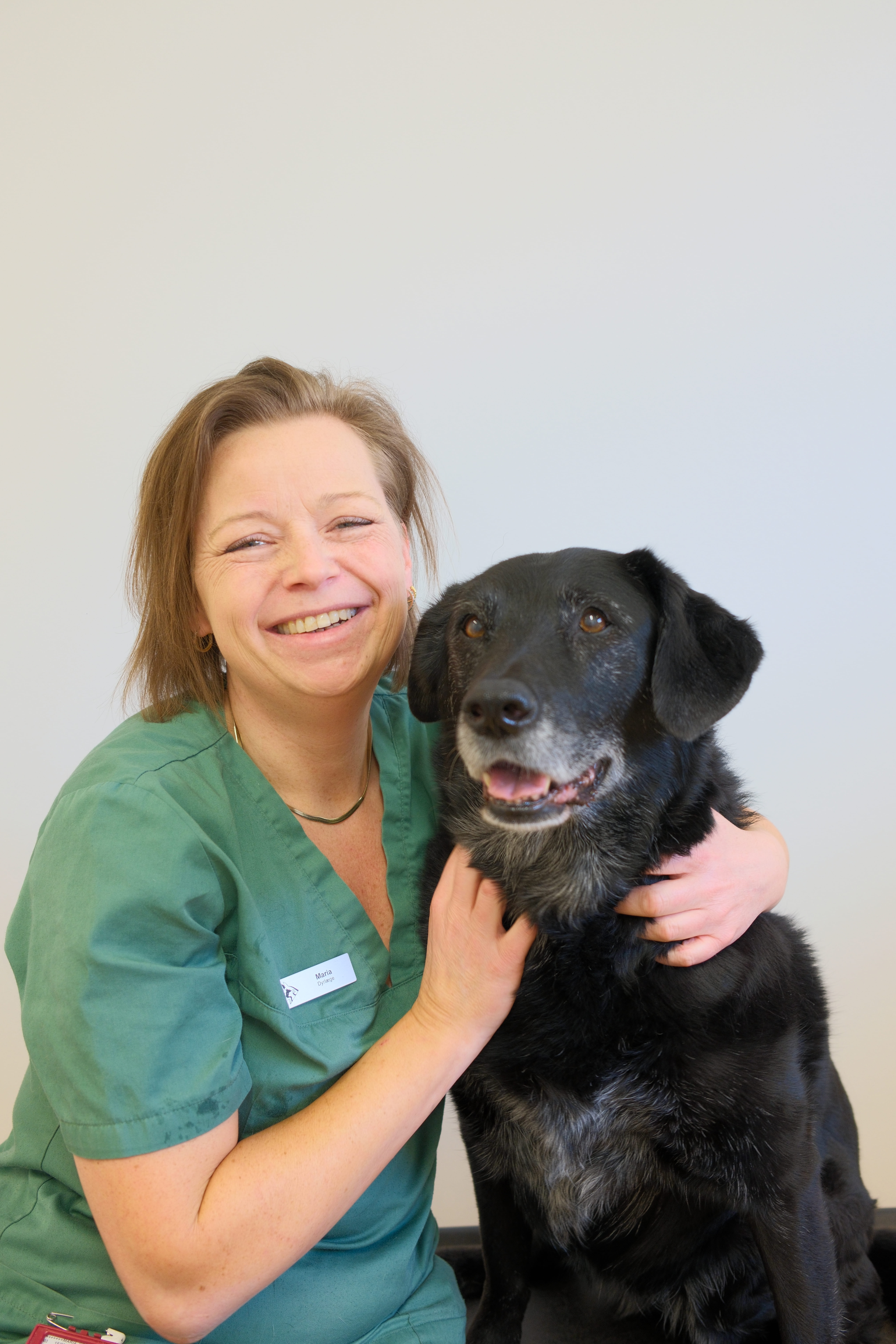 image of a routine checkup being performed (for a veterinary clinic)