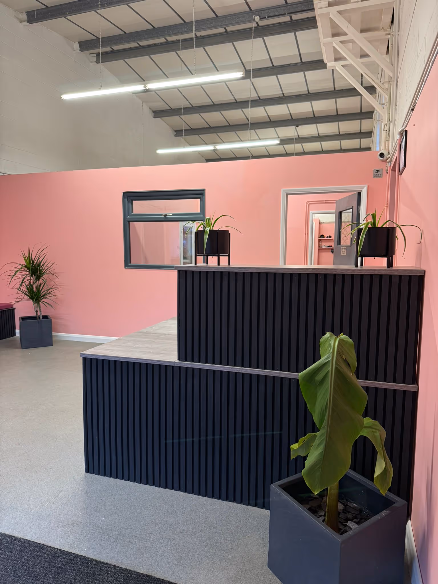 Modern office interior with pink walls, black slatted reception desk, and several potted plants.