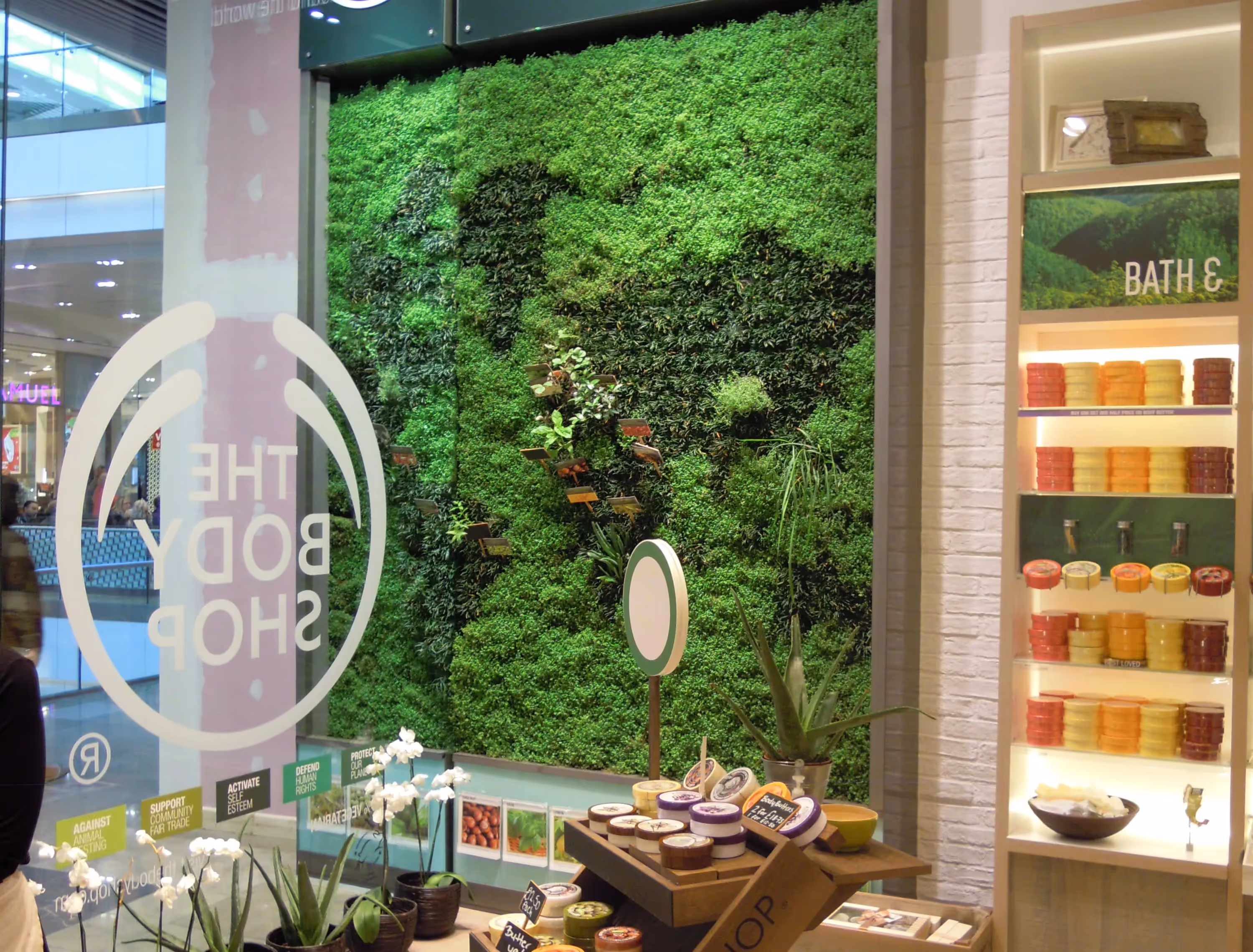 Living wall positioned both inside and outside of The Body Shop