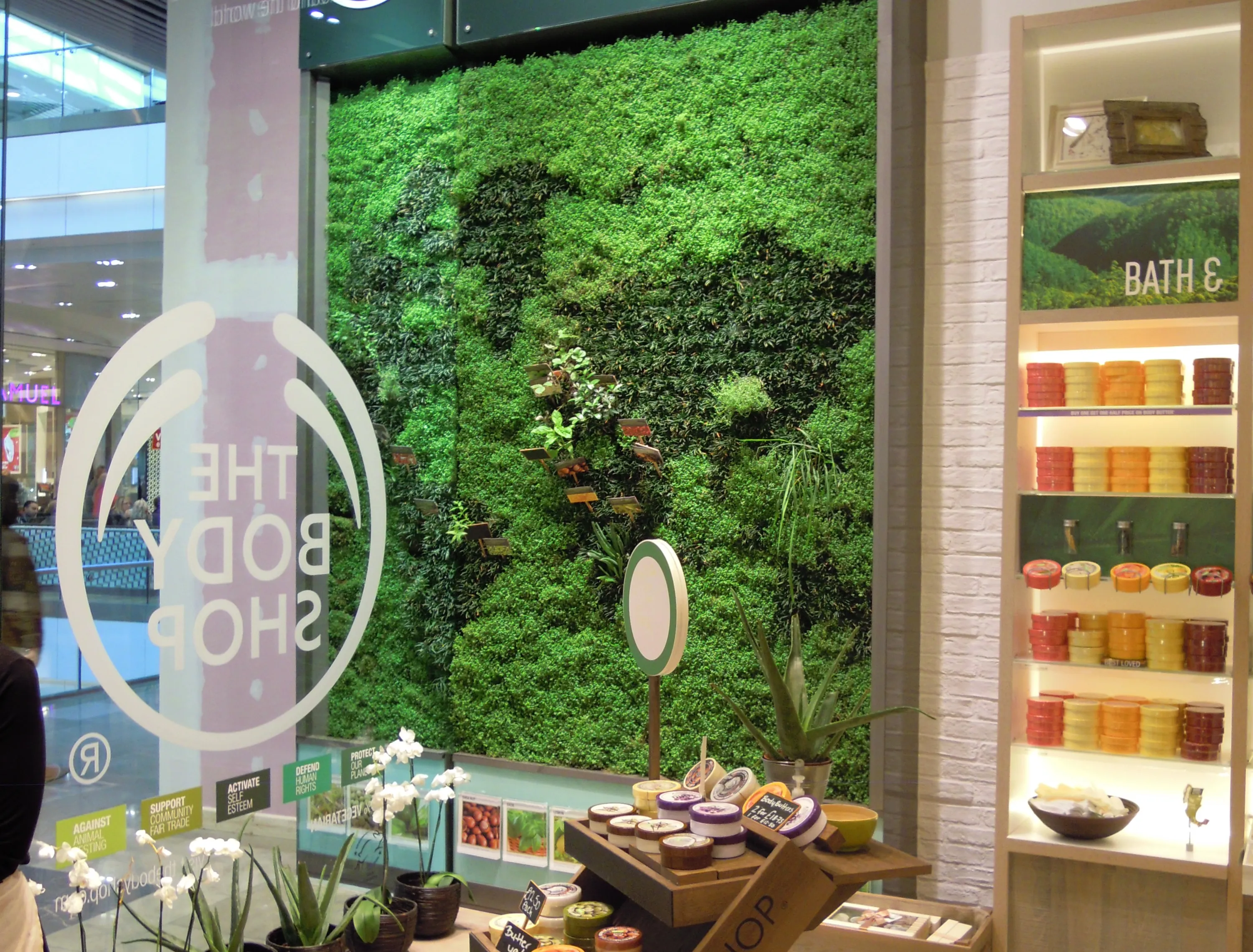 Living wall positioned both inside and outside of The Body Shop