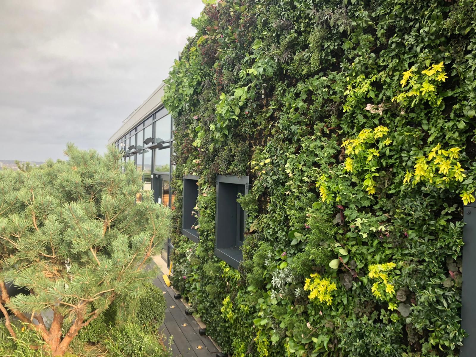 Treehouse London: stunning living walls and rooftop gardens maximise space and views, creating an urban oasis near Regent and Bond Streets.
