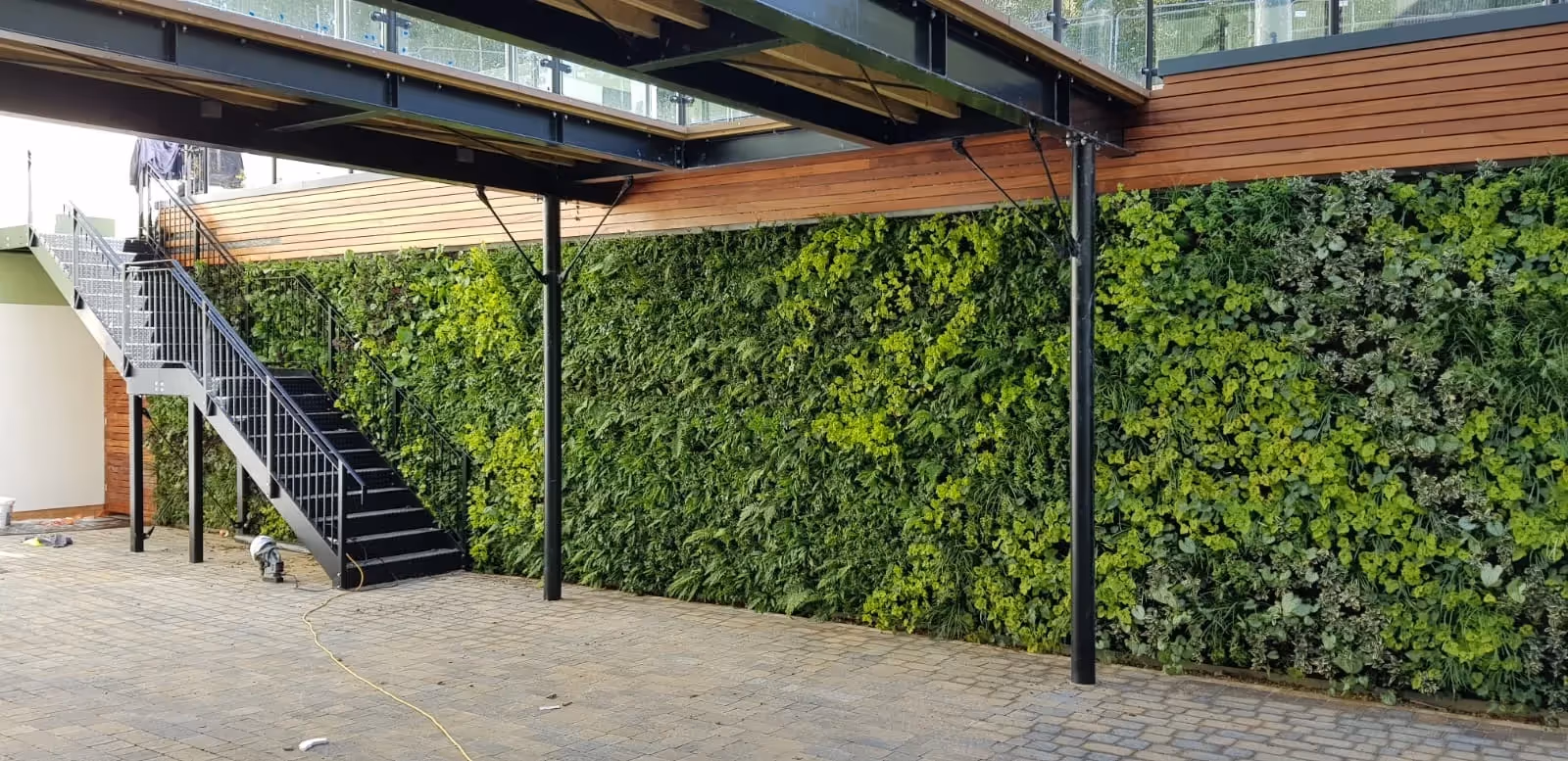 Living wall on building exterior with stairs running up the building against the living wall 