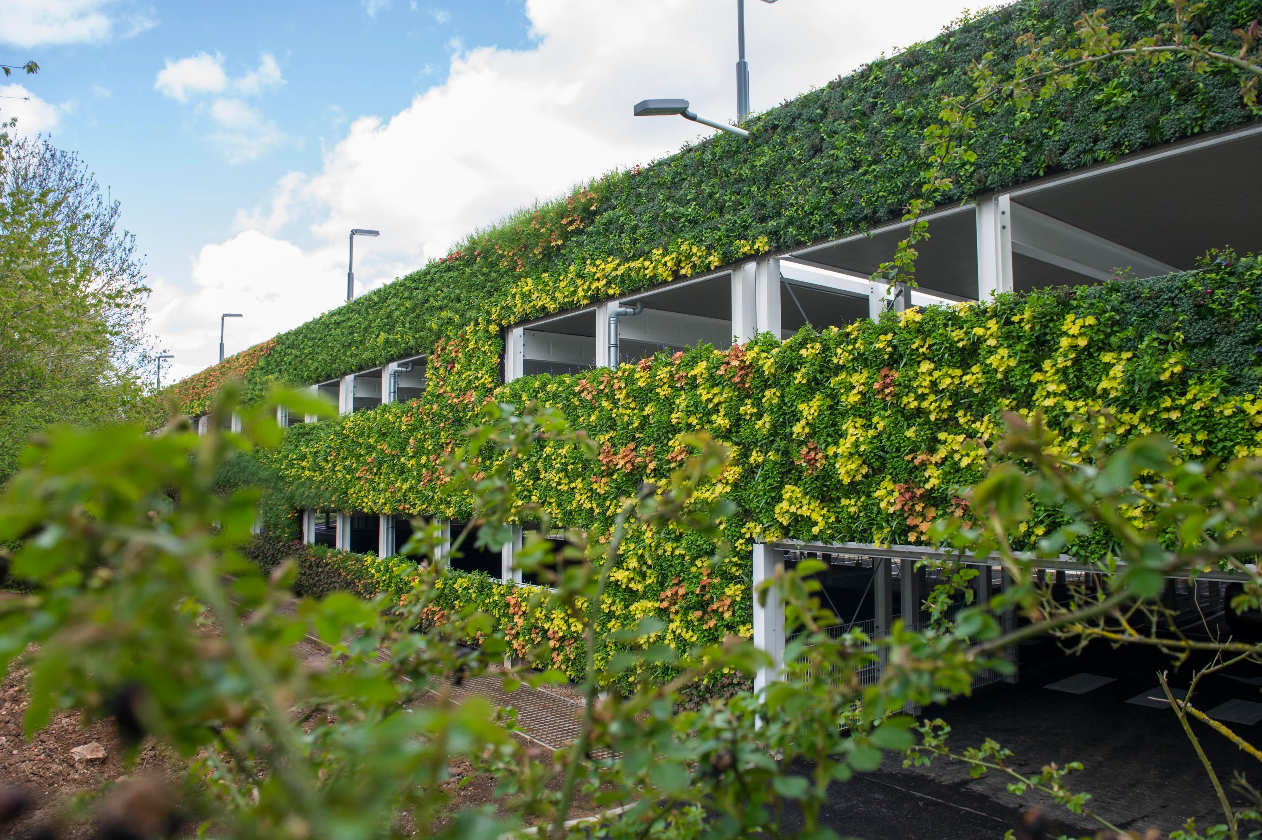 National Grid's award-winning car park is now a vibrant, sustainable living wall with 97,000 plants across 20 species, enhancing local ecology and biodiversity.