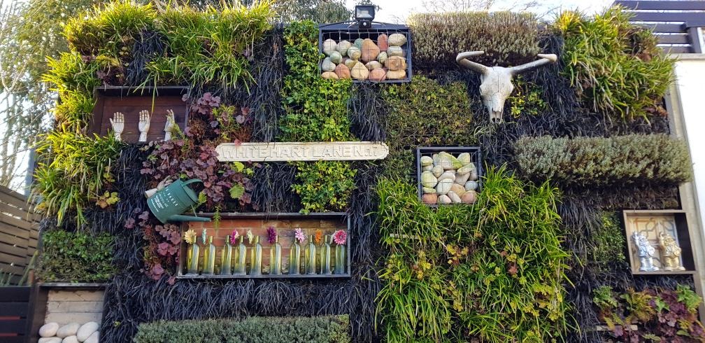 The plants change colour with the seasons, adding further interest and seasonality to the space.