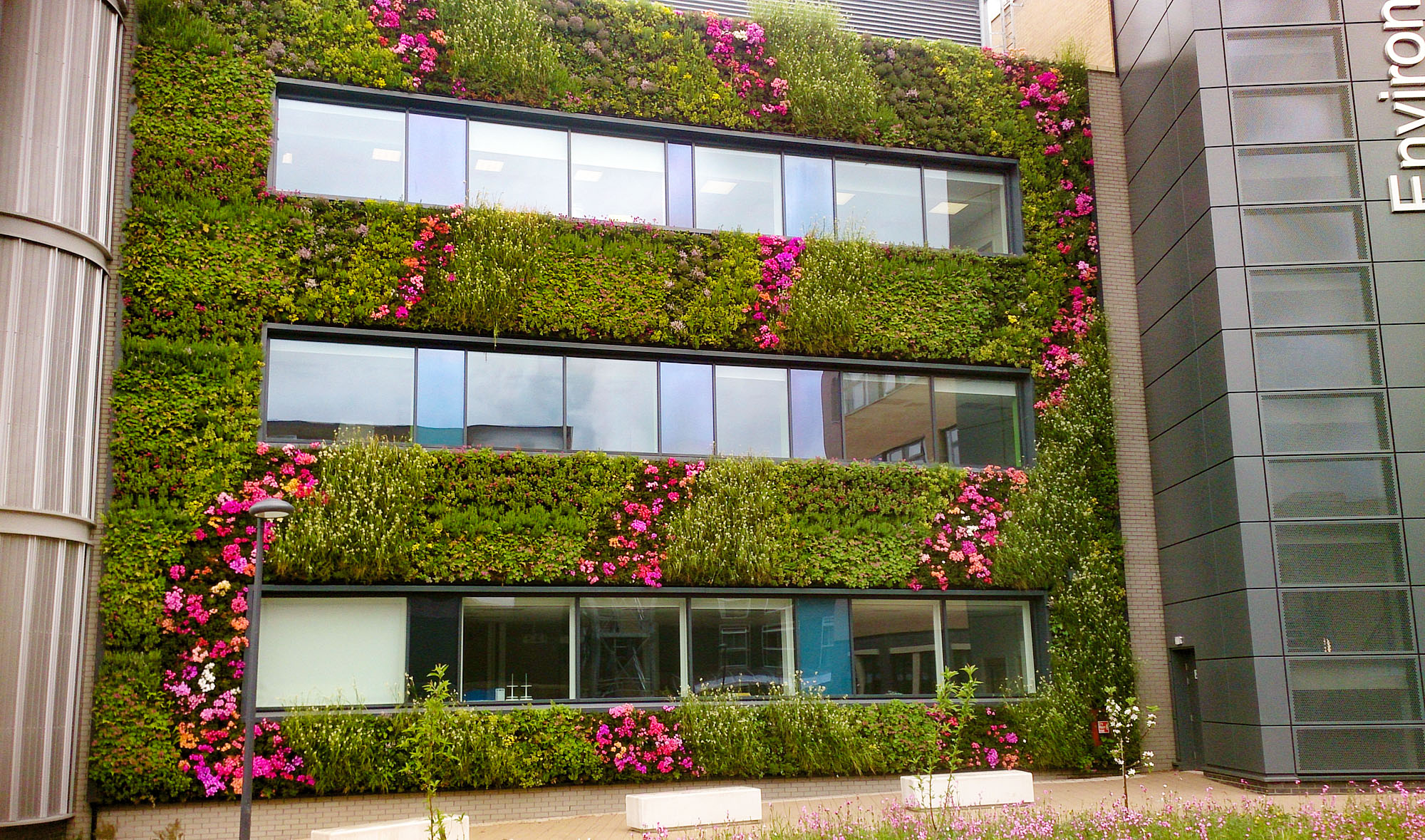 Exterior of The University of York’s new Environmental Building, entirely covered in a living wall