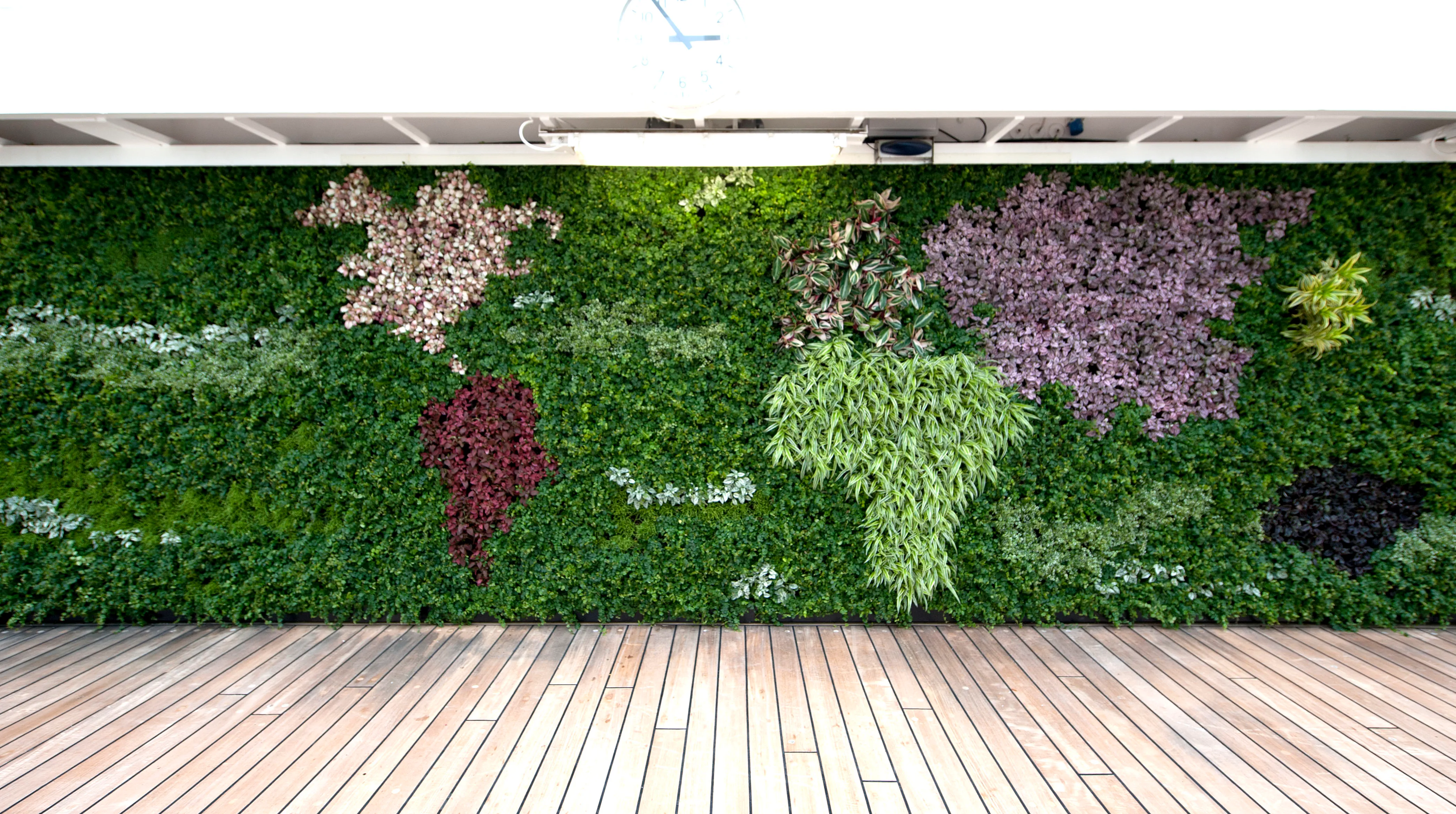 Internal living wall on Crystal Symphony cruise ship