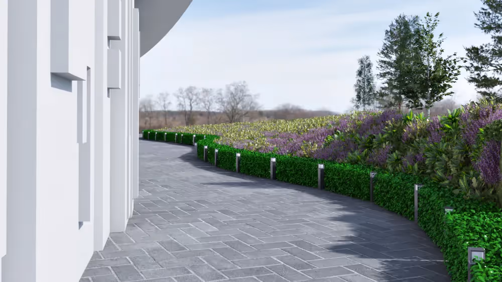 Modern white building with curved pathway, green hedges, and lavender garden