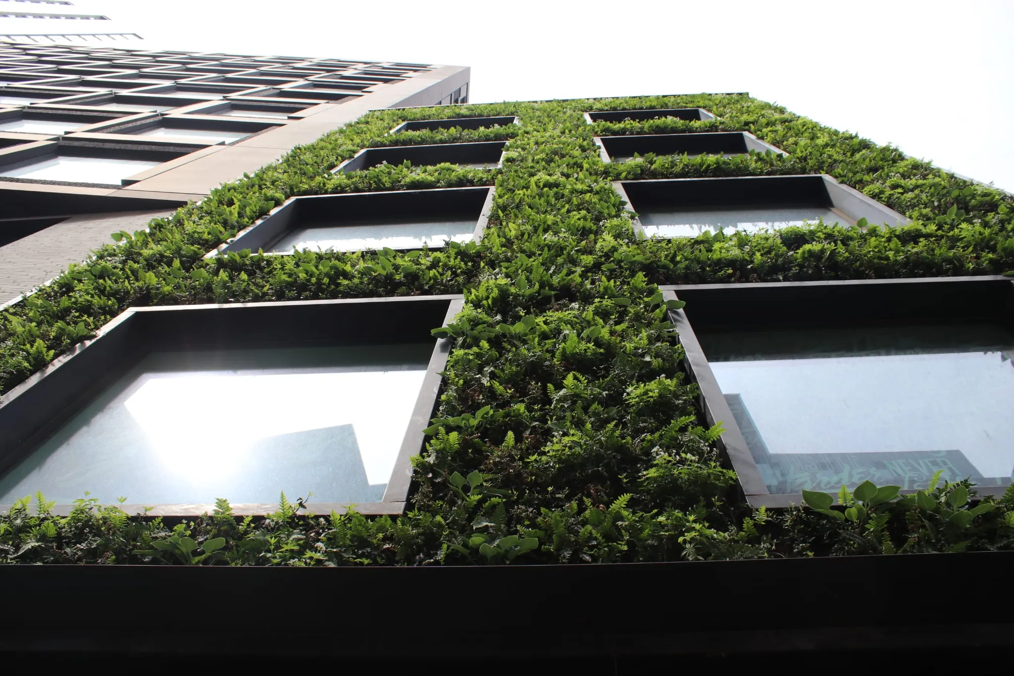 145 City Road is a wall driven by air purification and biodiversity. Being on two sides of the building, tis allows for double the impact.