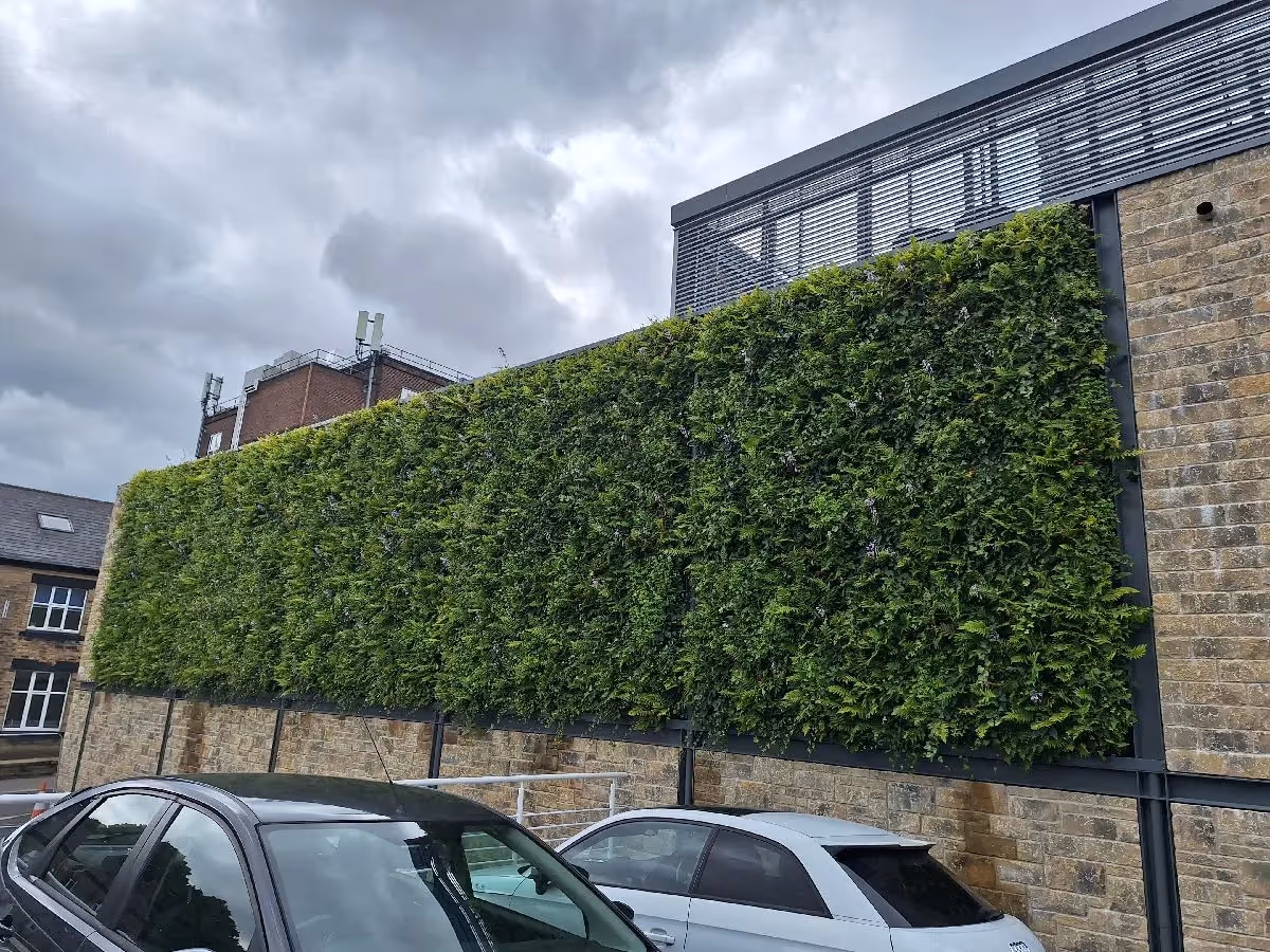 Weston Park Hospital's 80m² living wall, installed this year, enhances aesthetics & biodiversity, positively impacting local habitats.
