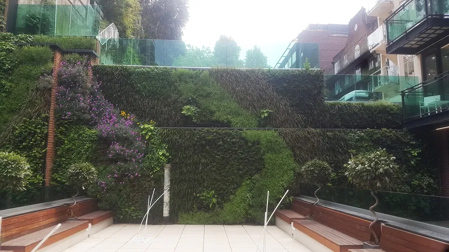 Green vertical garden with purple flowers between modern glass buildings