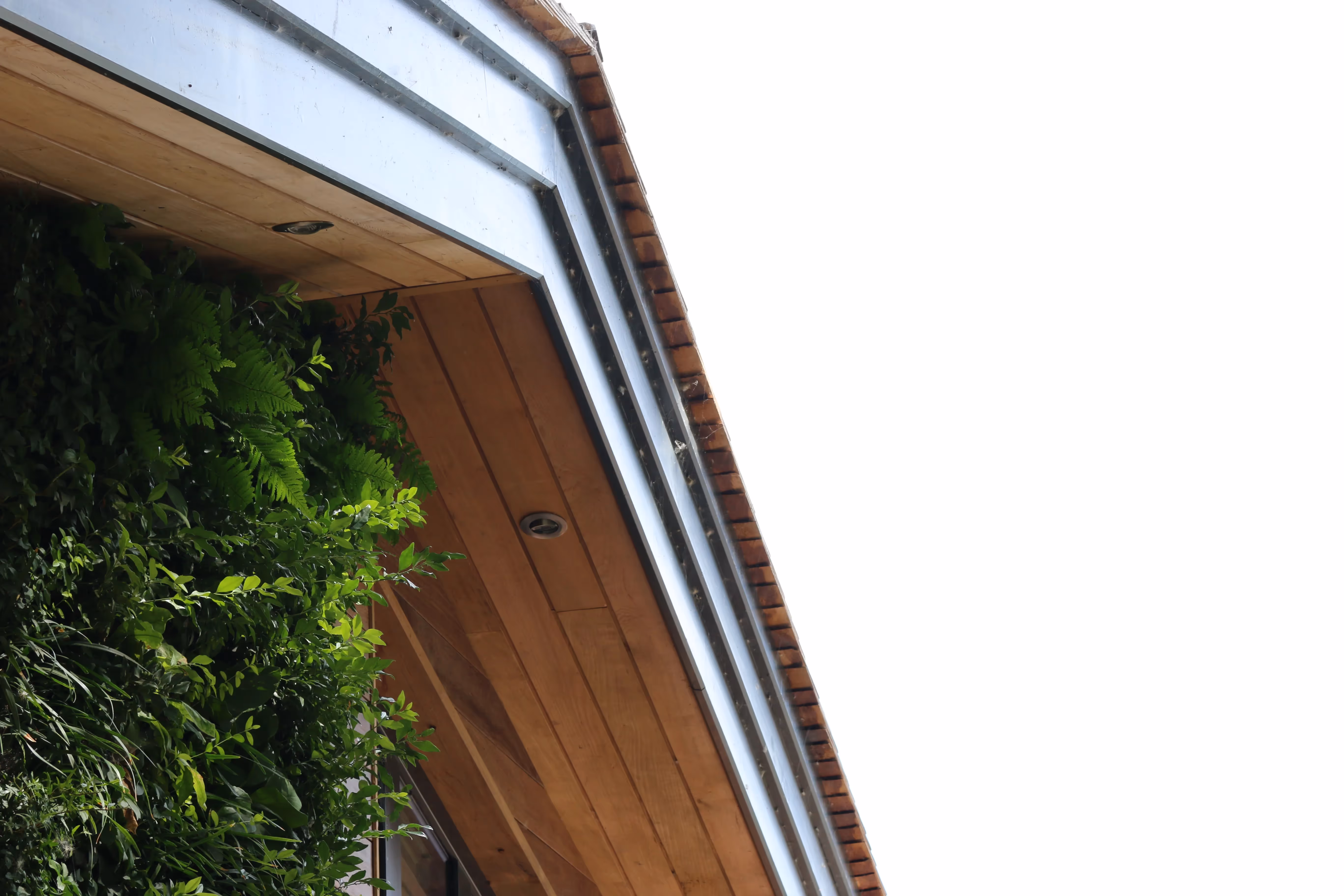 A sustainable lakeside home with six living walls by Viritopia, seamlessly blending modern design with nature for year-round beauty and eco-friendly living.