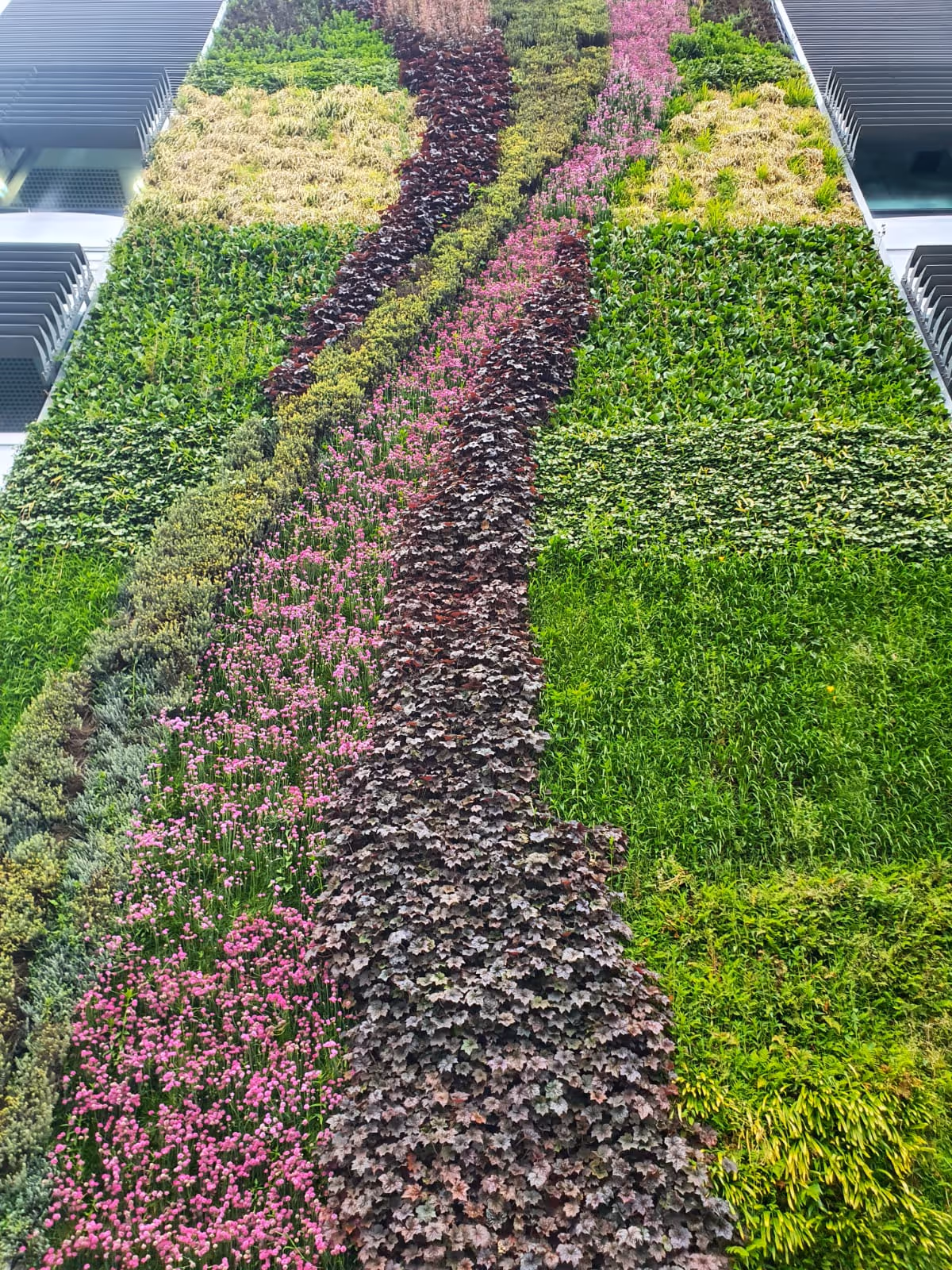 Close up of the large exterior living wall on VolksWagen Showroom