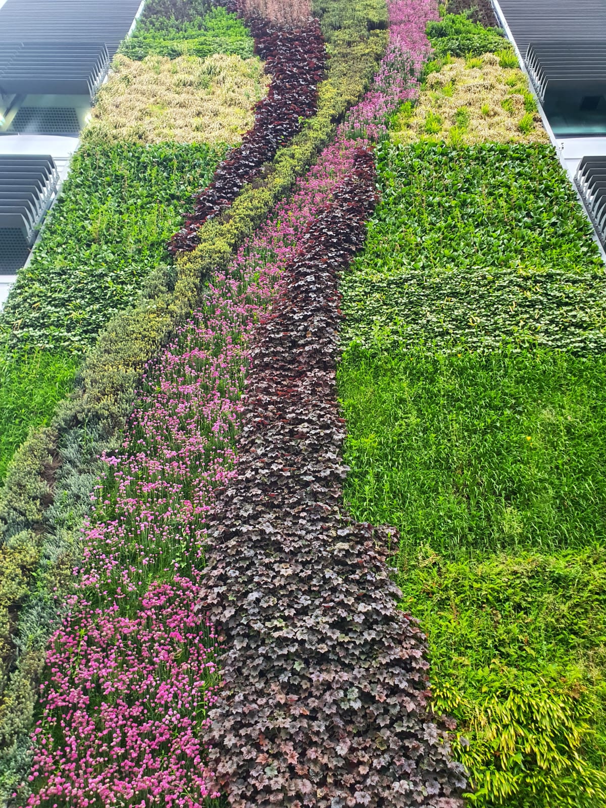 Close up of the large exterior living wall on VolksWagen Showroom