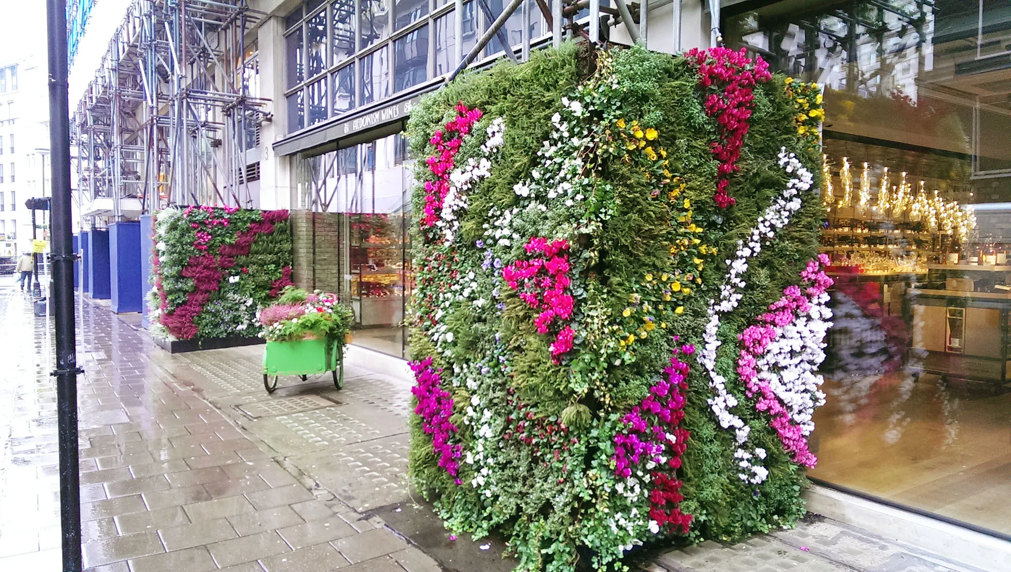 Colourful living walls out the front of Hedonism Wines