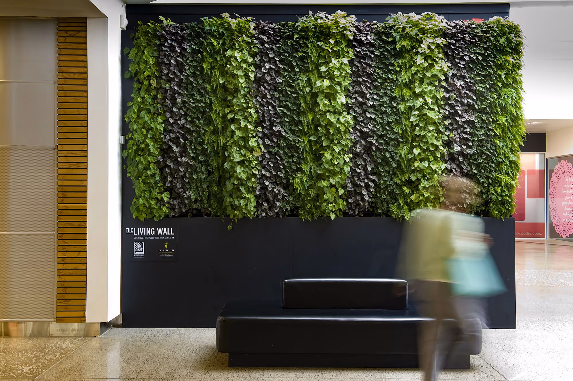 Living wall inside Sydenham Mall