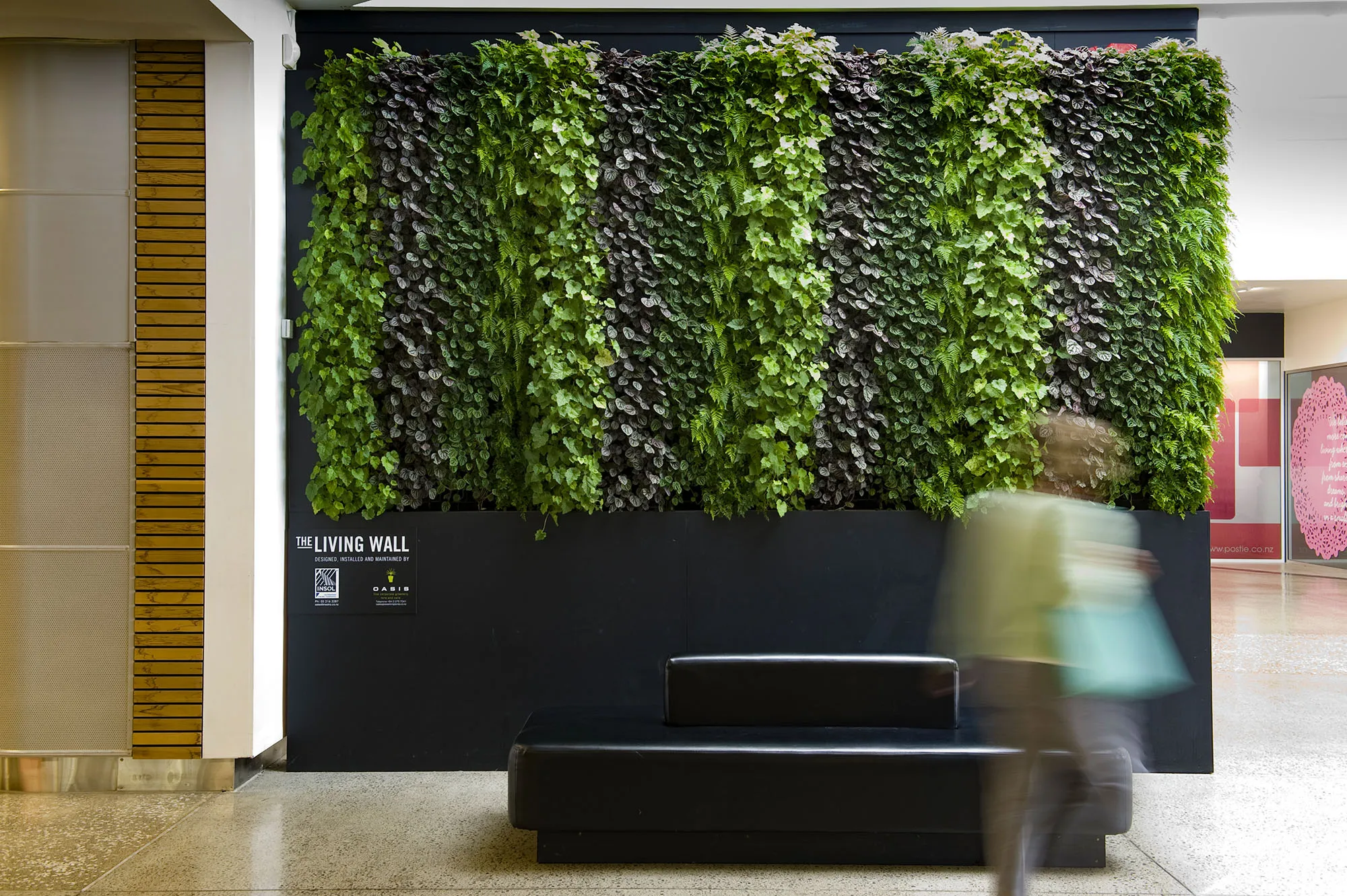 Living wall inside Sydenham Mall