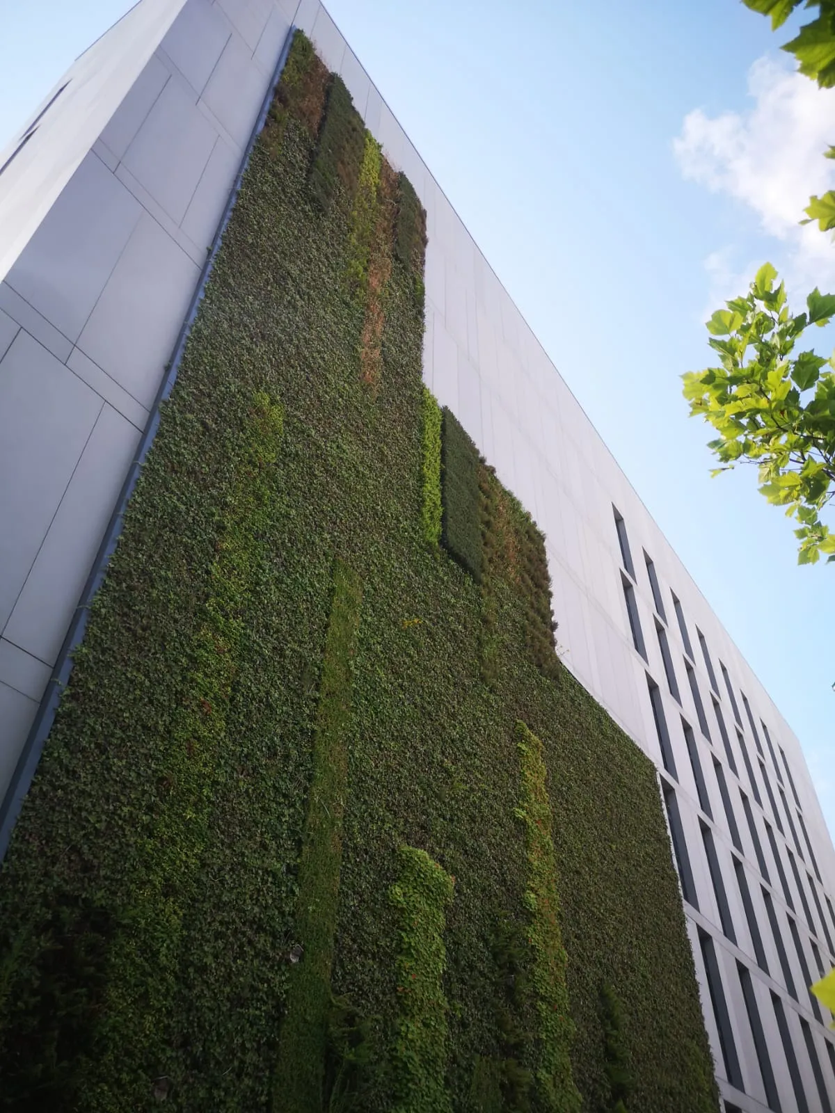 Exterior of Science Central building, featuring a large living wall