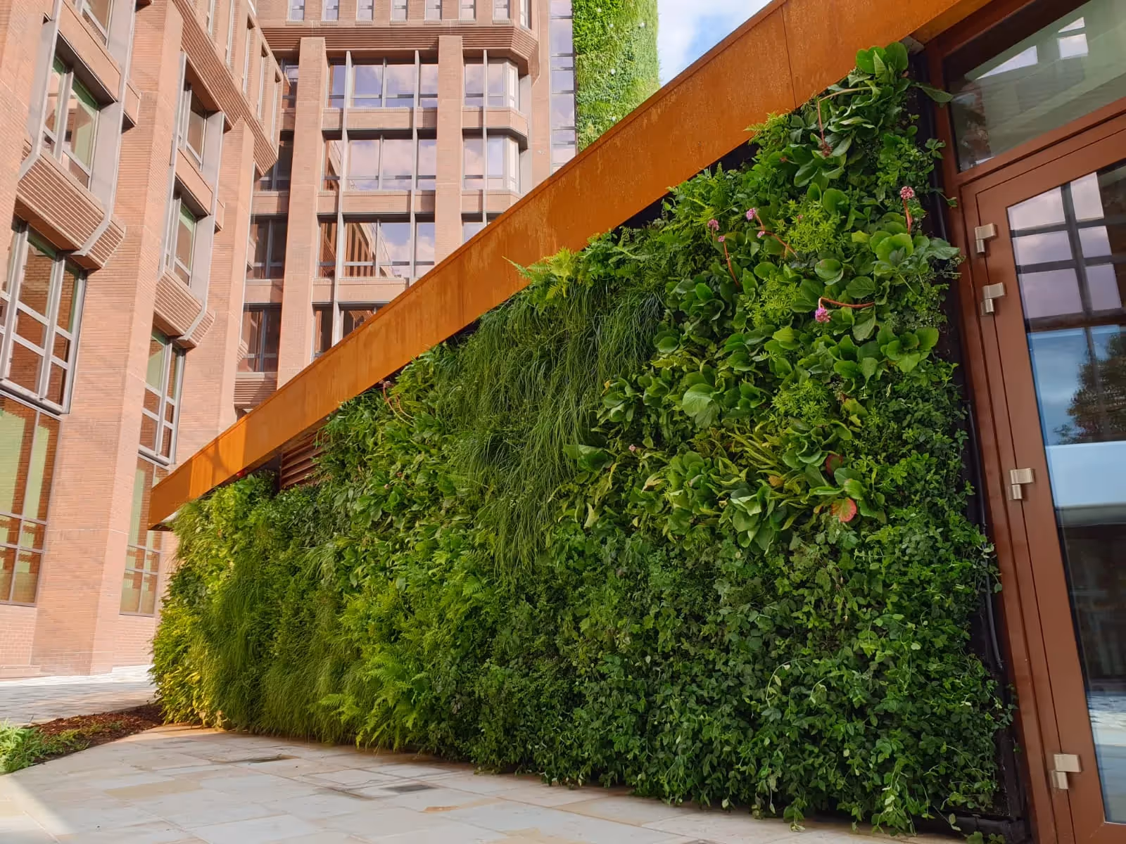 Close up exterior of Dukes Court Restaurant, with a living wall running the length of the wall