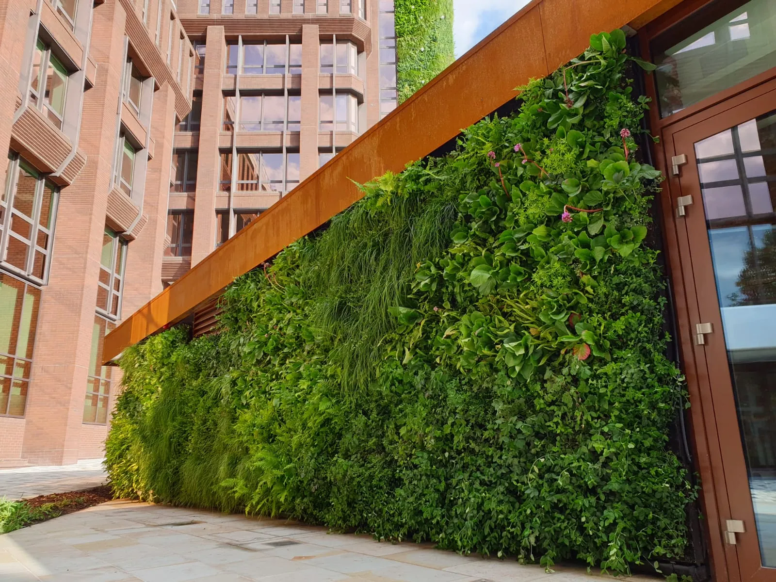 Close up exterior of Dukes Court Restaurant, with a living wall running the length of the wall