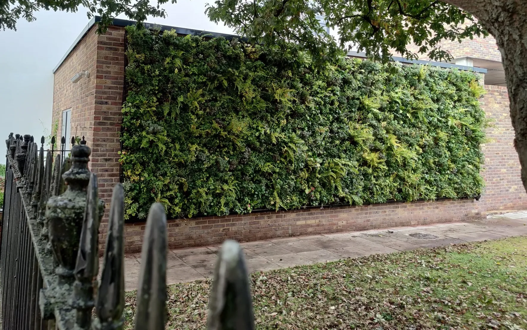Exterior living wall on the side of Lidl Richmond