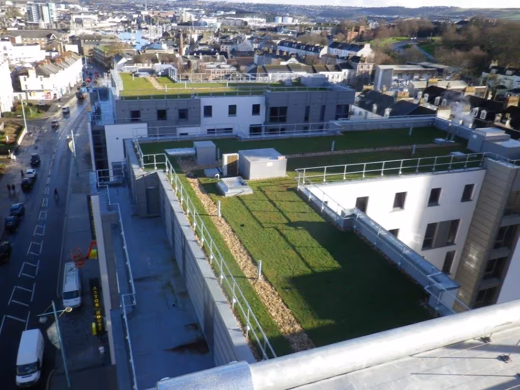 Birds-eye view of Hoe Centre, showing a living roof 