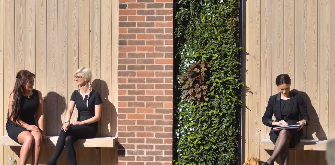 Living wall with people sat either side 