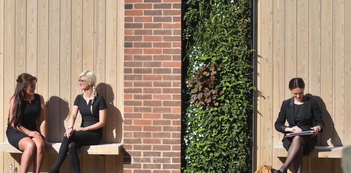 Living wall with people sat either side