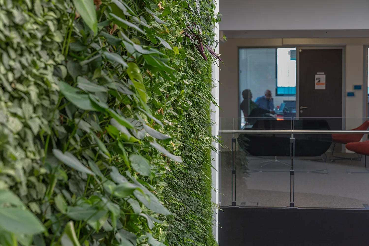 Interior of David Attenborough Building with the living wall in the foreground