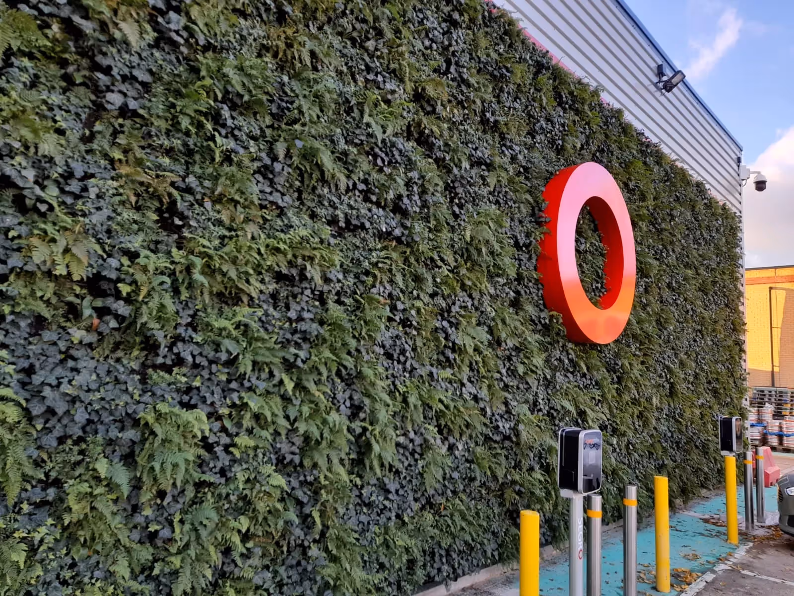 Close up of exterior living wall with large red O in the wall