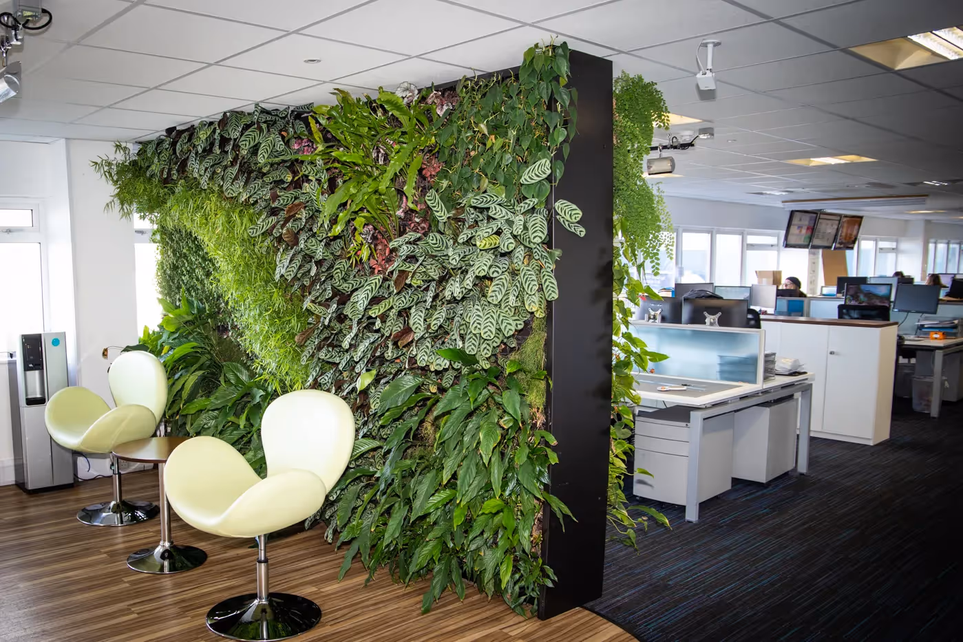 Interior of Acopia Group offices with a living wall dividing the space 