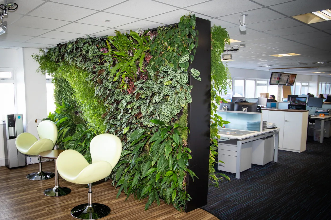 Interior of Acopia Group offices with a living wall dividing the space 
