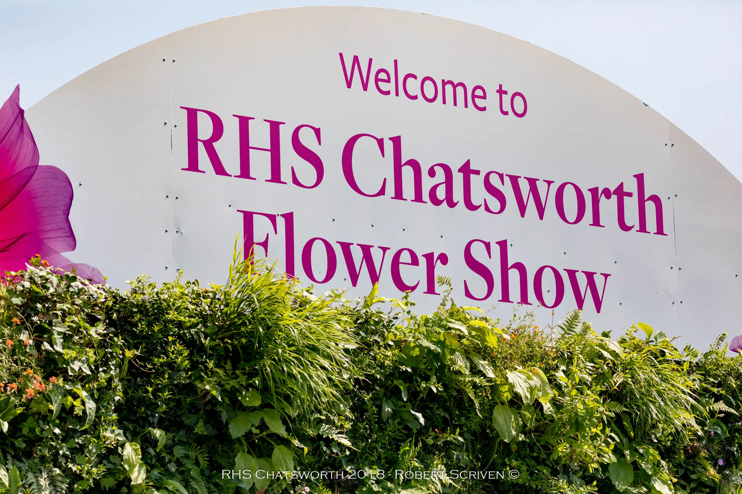 Viritopia were chosen to install the living walls at Chatsworth, creating 2 stunning entrances to the show and giving attendees a taste of the day ahead.
