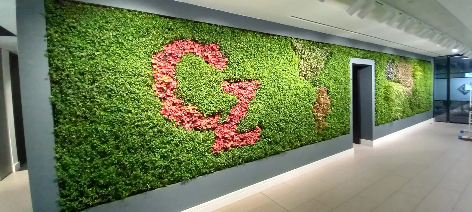 Interior living wall in Czarnikow office, with the Czarnikow in the living wall in contrasting colours