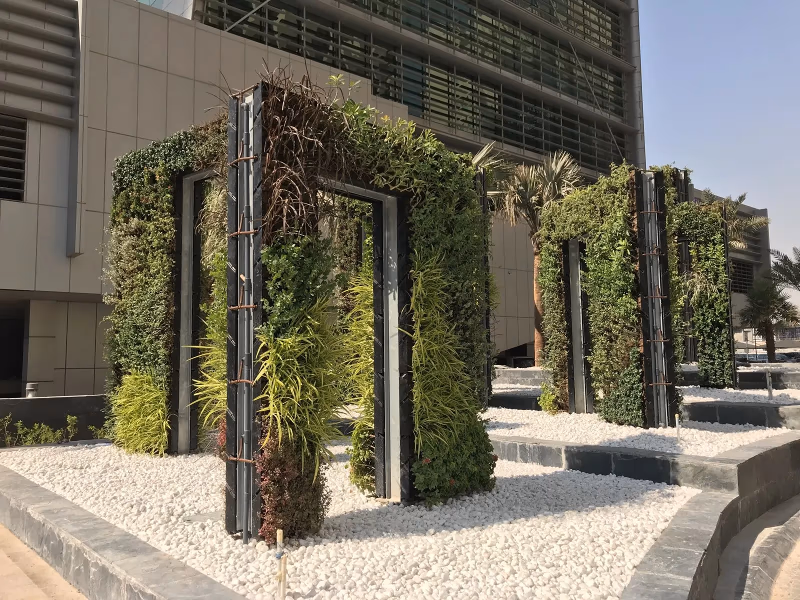 Vertical garden with green plants on metal frames over white pebble landscape