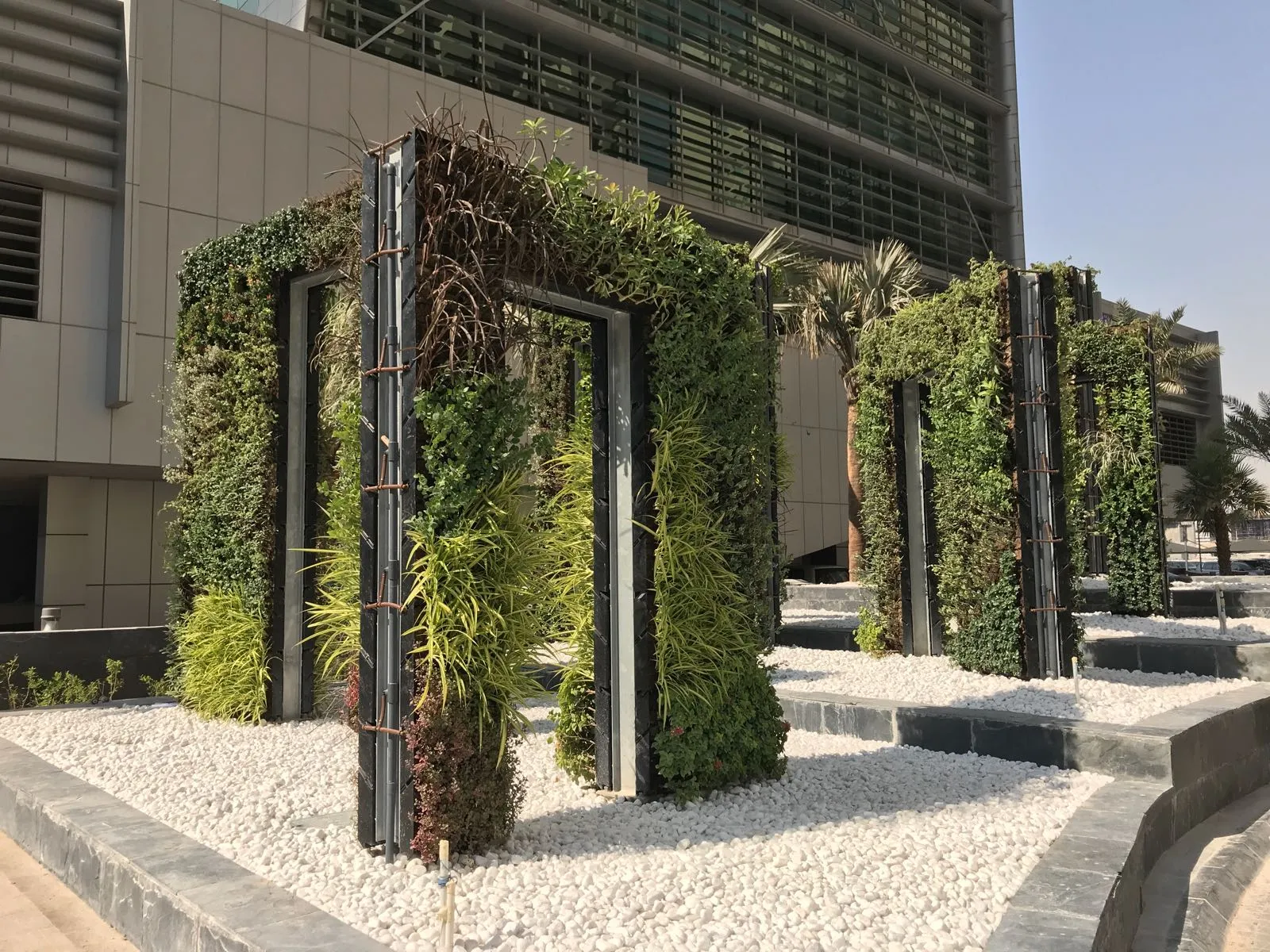 Vertical garden with green plants on metal frames over white pebble landscape