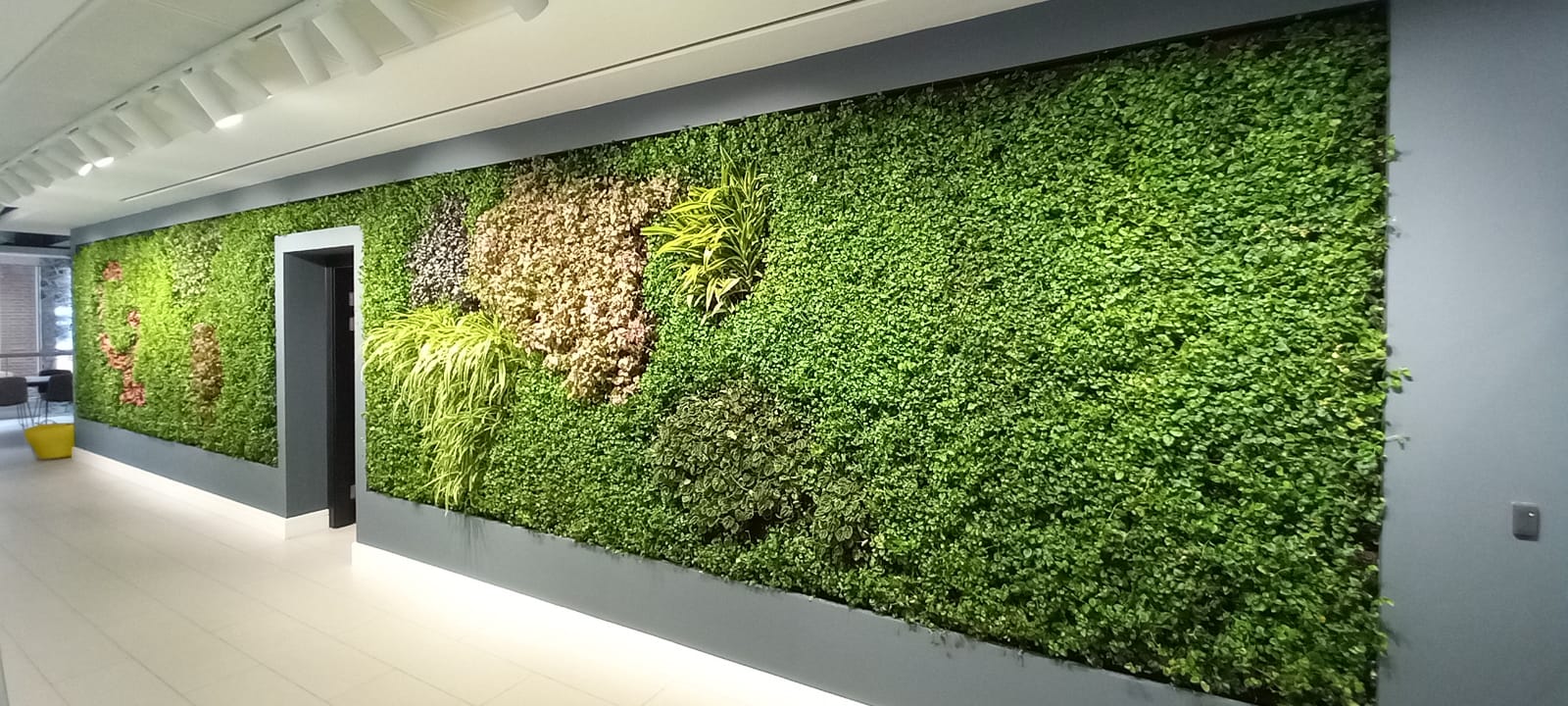 Large green living wall with varied plants and door in modern interior