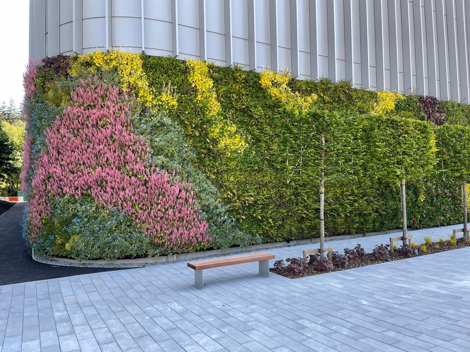 Vibrant vertical garden with pink, yellow, and green plants beside urban walkway