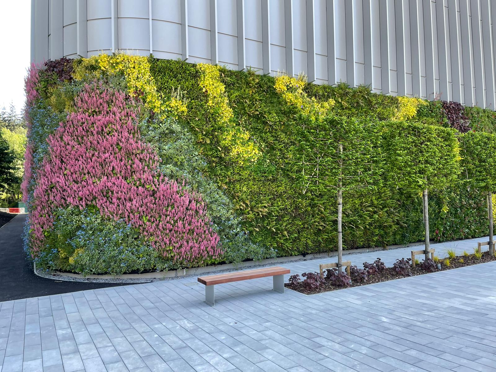 Vibrant vertical garden with pink, yellow, and green plants beside urban walkway