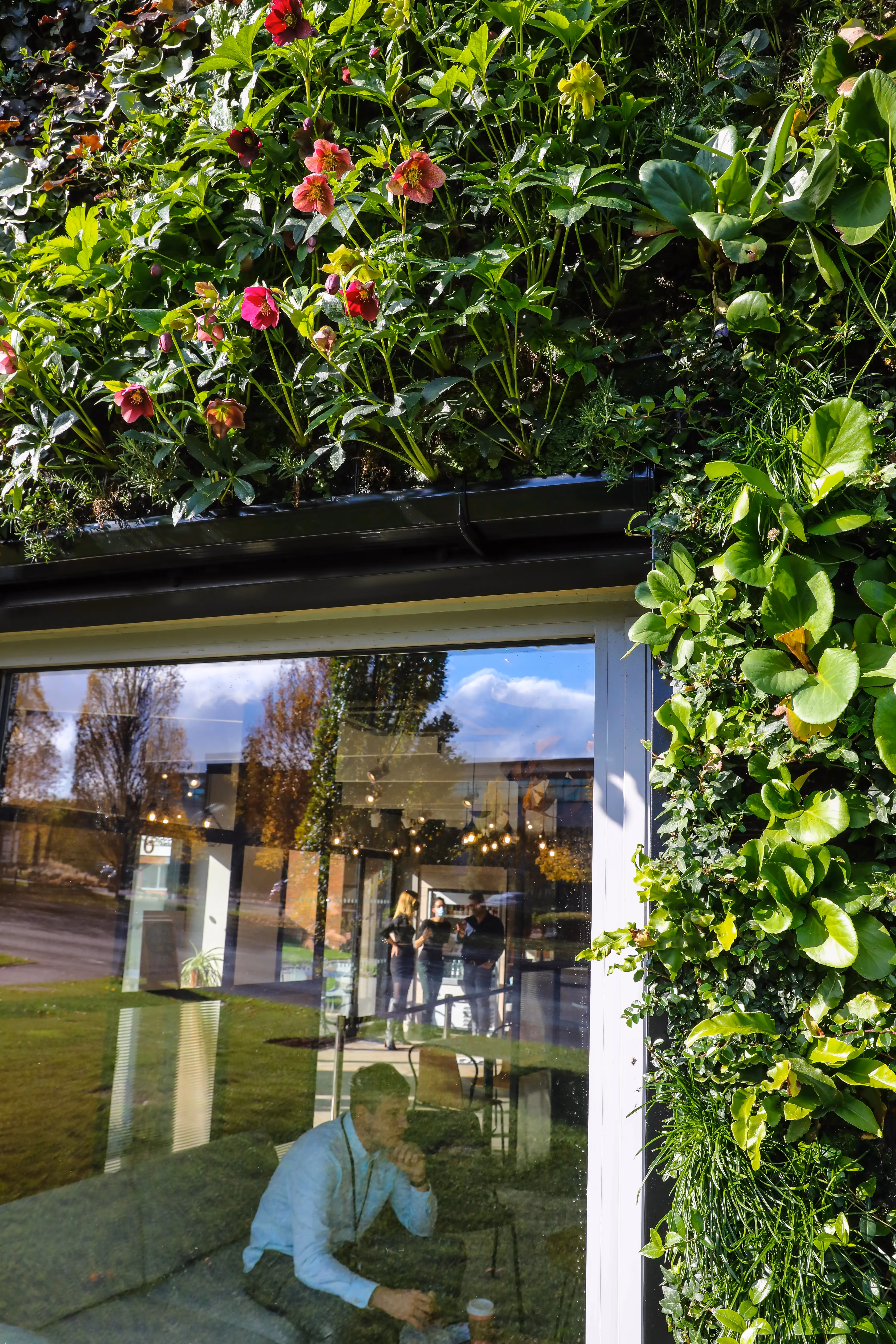 Green-roofed building with vibrant flowers and reflective glass window