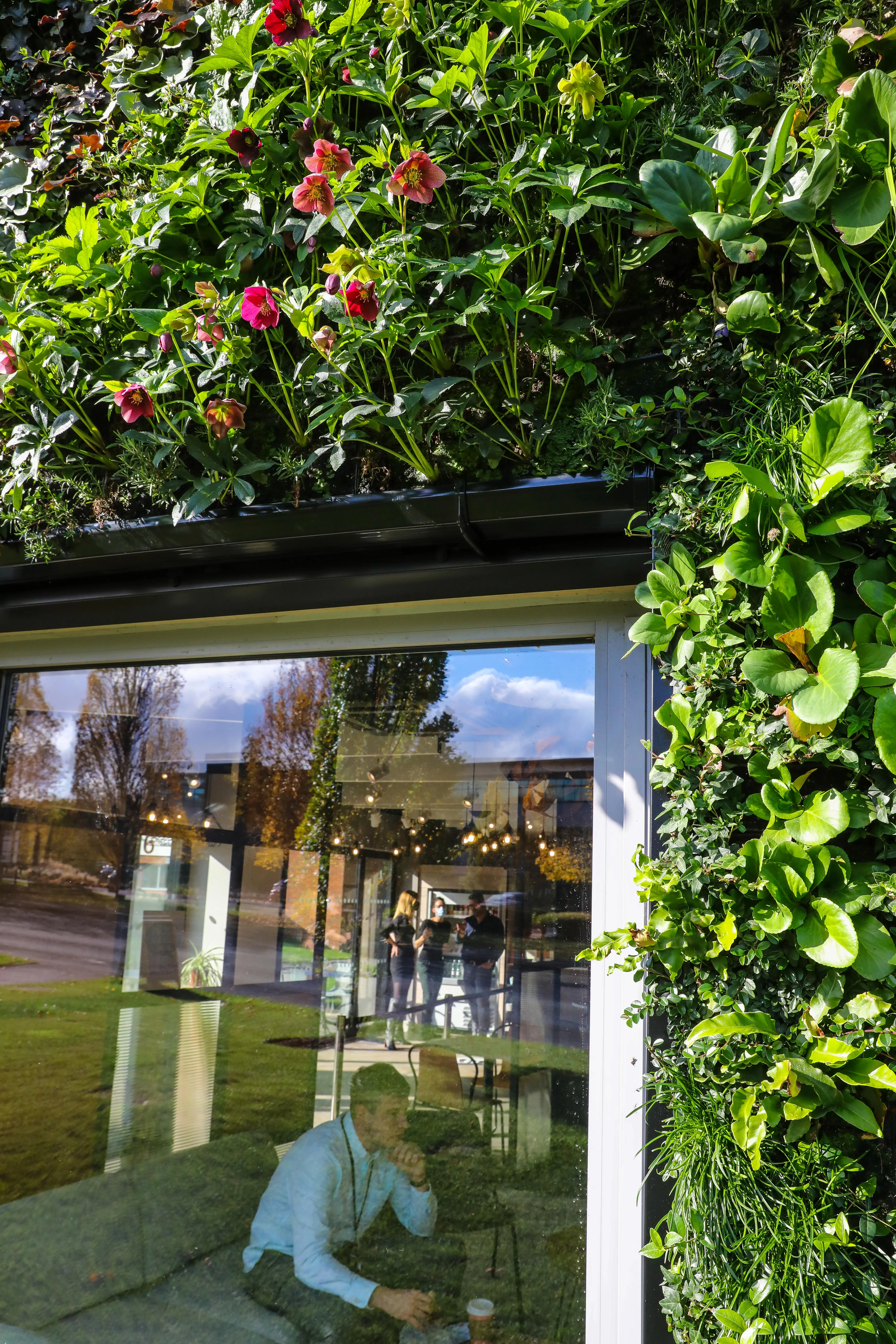Green-roofed building with vibrant flowers and reflective glass window