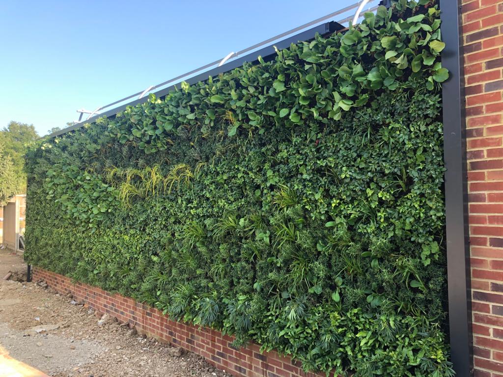 Close up of exterior living all at Bromley High Junior School 