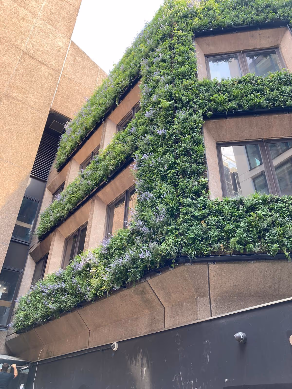 Modern building with lush vertical garden covering exterior walls