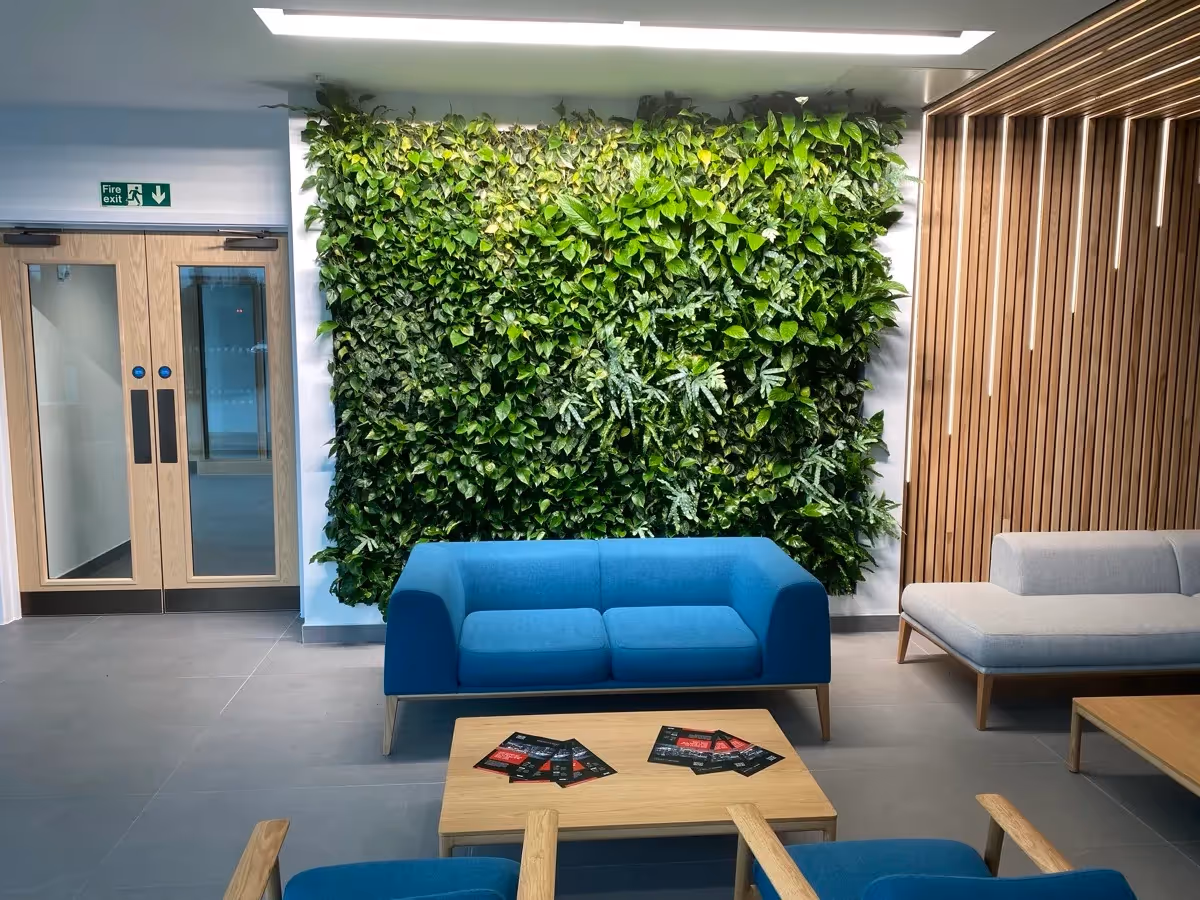 Small internal living wall in SEGRO V Park, with a sofa in front of it. 